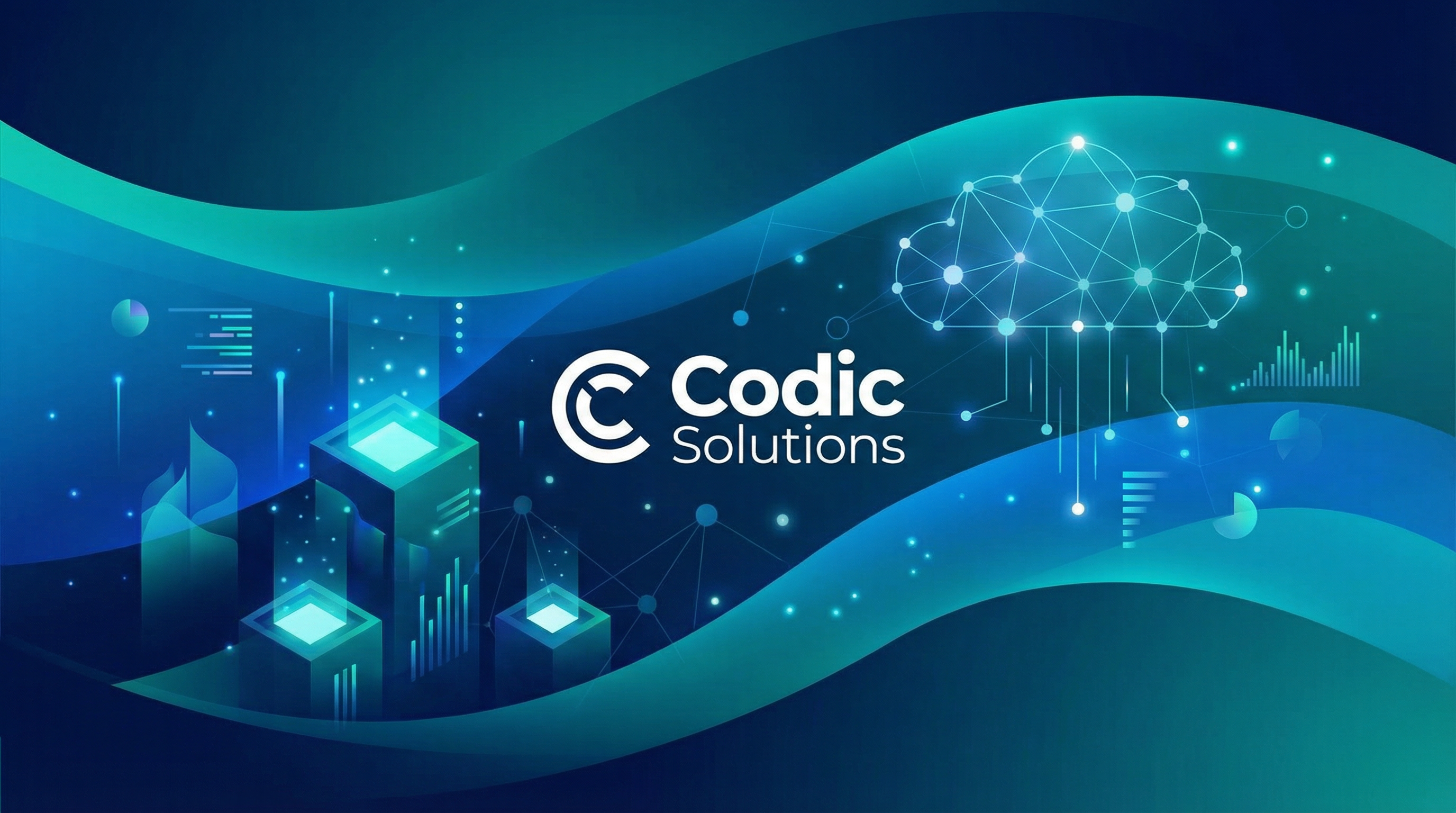 Codic Solutions Hero